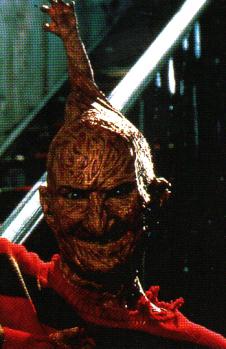 Freddy